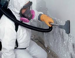 Mold Documentation for Insurance Claims